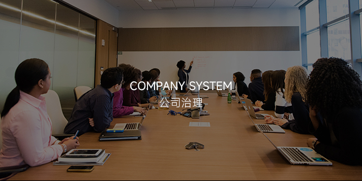 公(gōng)司治理(li)